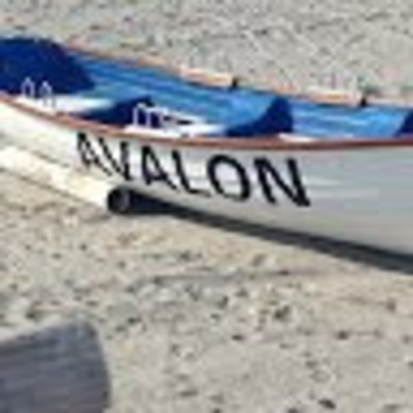 Meet your Posher, Sydney - Picture 1 of 1